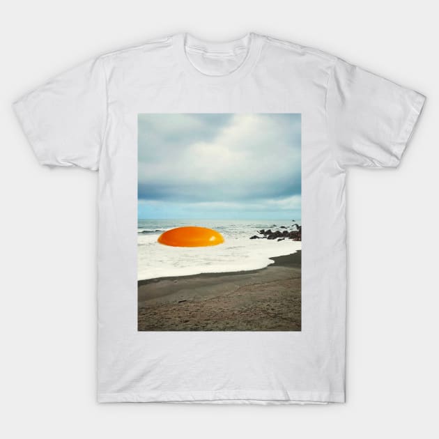 Beach egg T-Shirt by Vertigo Artography